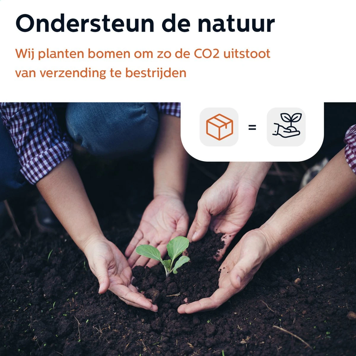 BooGoo® - RVS Oliefles Deluxe - Oliefles Met Schenktuit En Accessoires - Olijfolie Fles - Olie Fles Glas 8 BooGoo® - RVS Oliefles Deluxe - Oliefles Met Schenktuit En Accessoires - Olijfolie Fles - Olie Fles Glas - Afbeelding 6