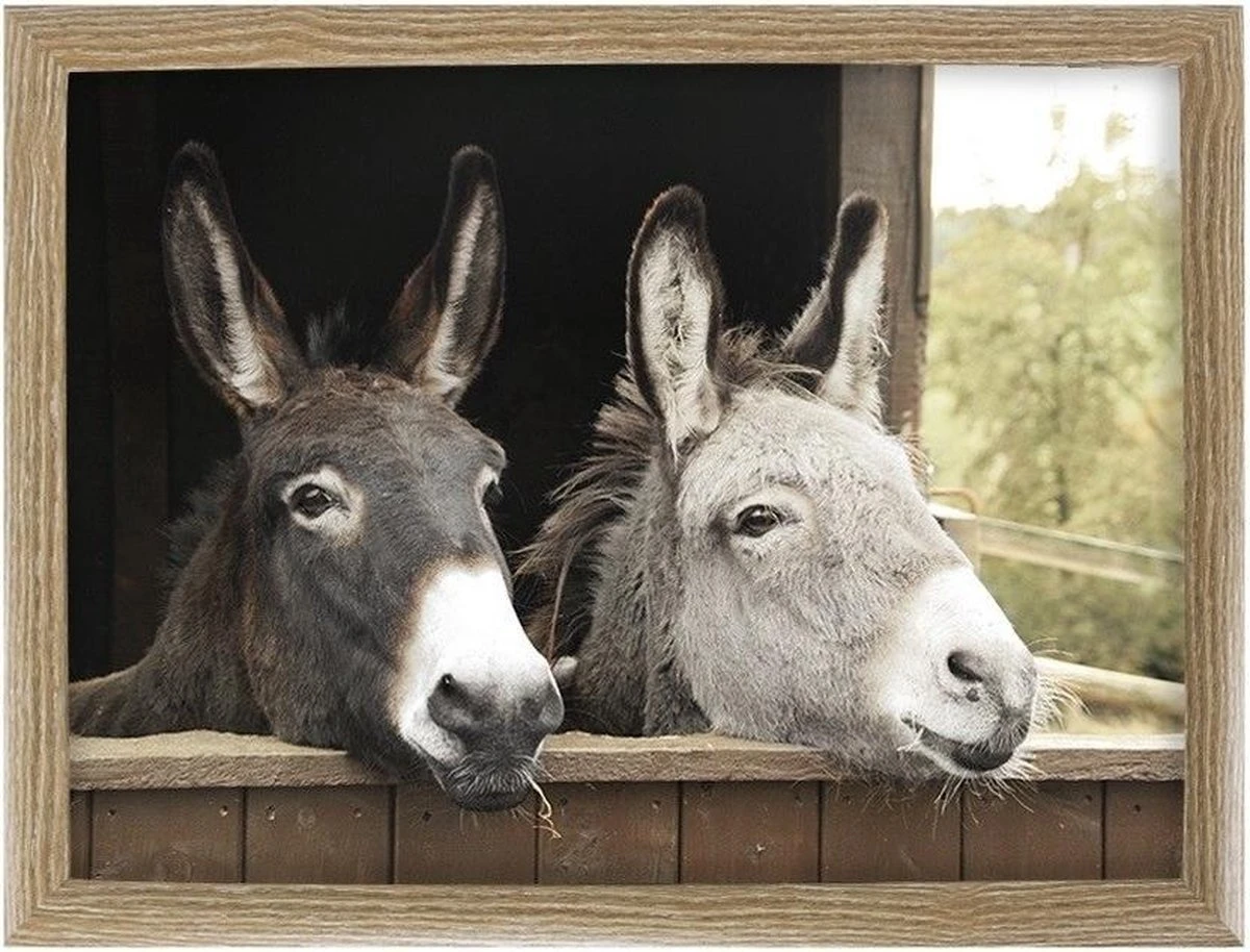 Schootkussen/laptray Ezels Print 43 X 33 Cm - Schoottafel - Dienblad Voor Op Schoot Ezels 3 Schootkussen/laptray Ezels Print 43 X 33 Cm - Schoottafel - Dienblad Voor Op Schoot Ezels