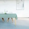 Mistral Home - Tafelkleed Waterafstotend - 150x250 Cm - Muntgroen 2 Mistral Home - Tafelkleed Waterafstotend - 150x250 Cm - Muntgroen -KitchenAids Winkel 849x1200 2